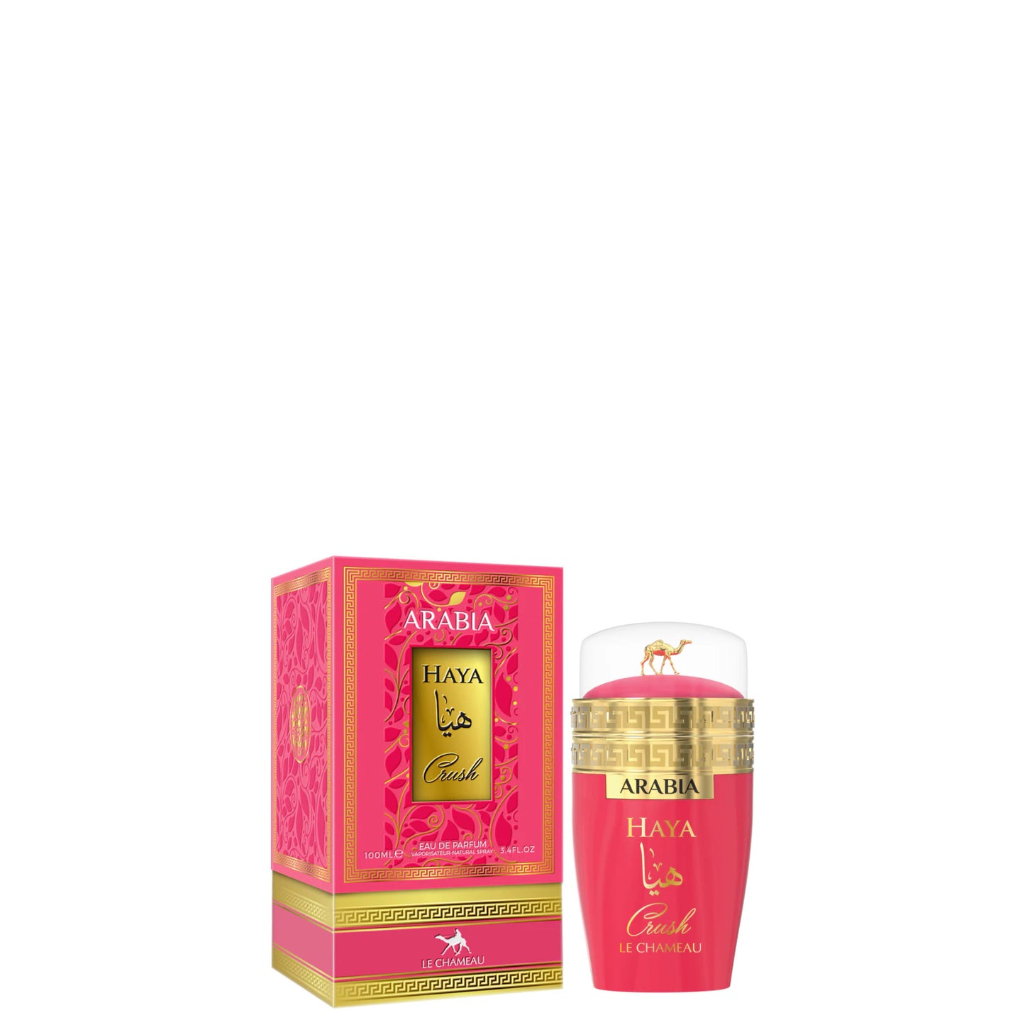 Arabia haya crush